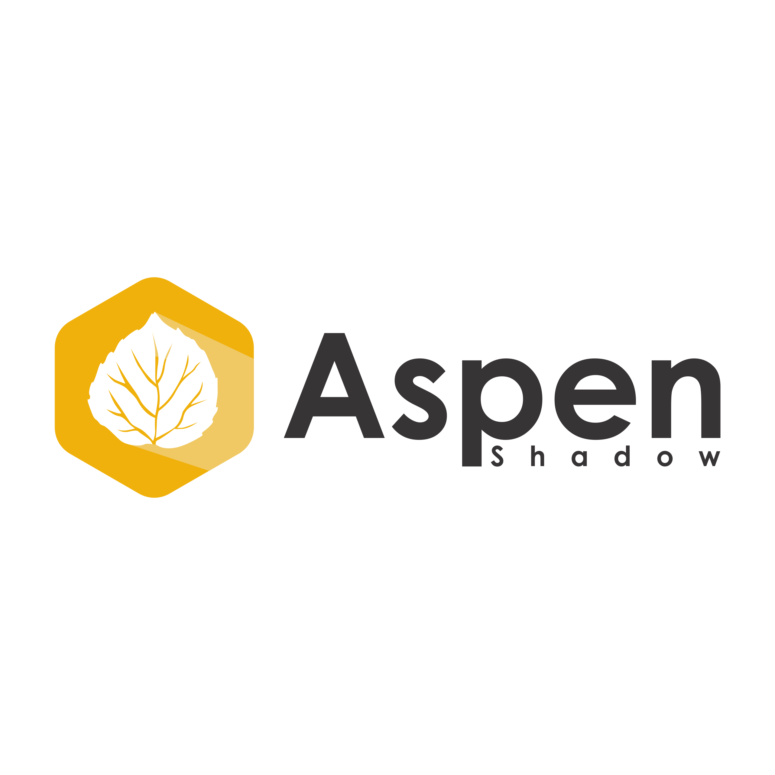 Aspen Shadow Investments